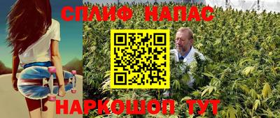 крисы Нальчик