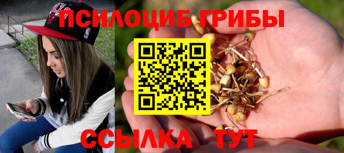 Галлюциногенные грибы Magic Shrooms  Вход с VPN  Фурманов 